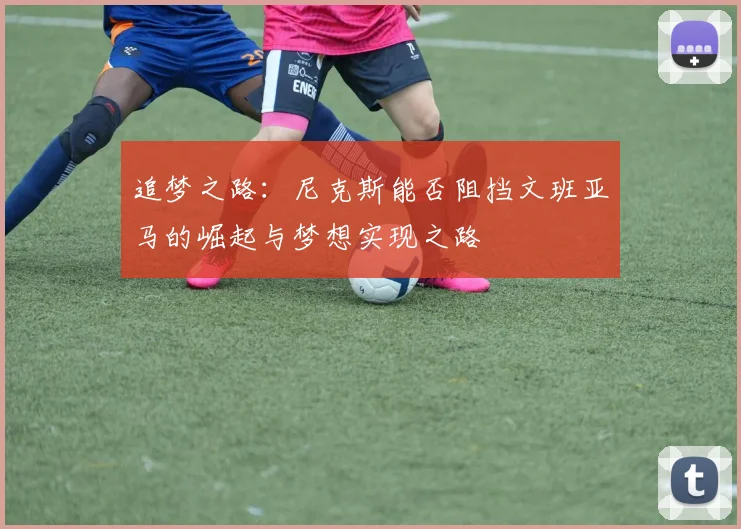 追梦之路：尼克斯能否阻挡文班亚马的崛起与梦想实现之路