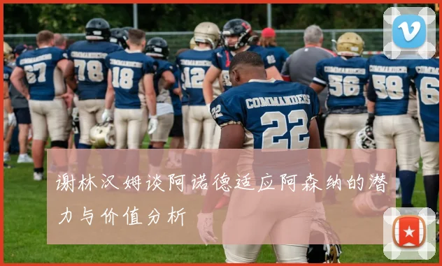 谢林汉姆谈阿诺德适应阿森纳的潜力与价值分析